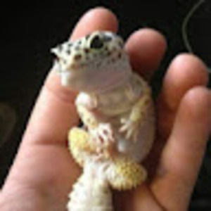 Meet your Posher, E & m